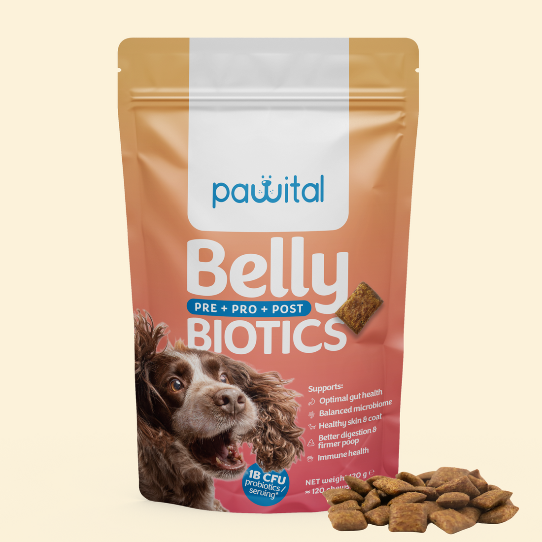 Belly Biotics (lonček)