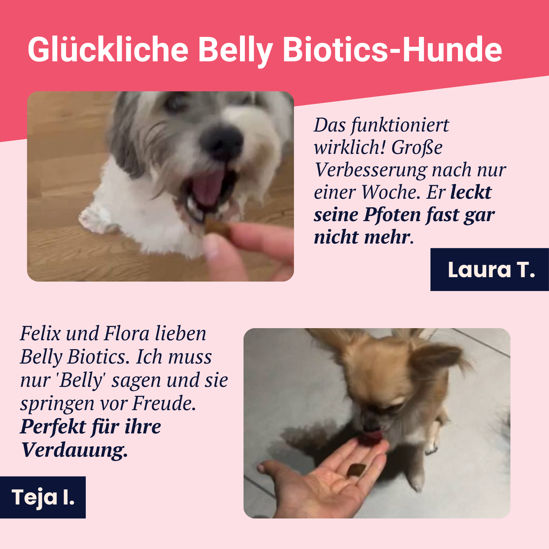 Belly Biotics (lonček)