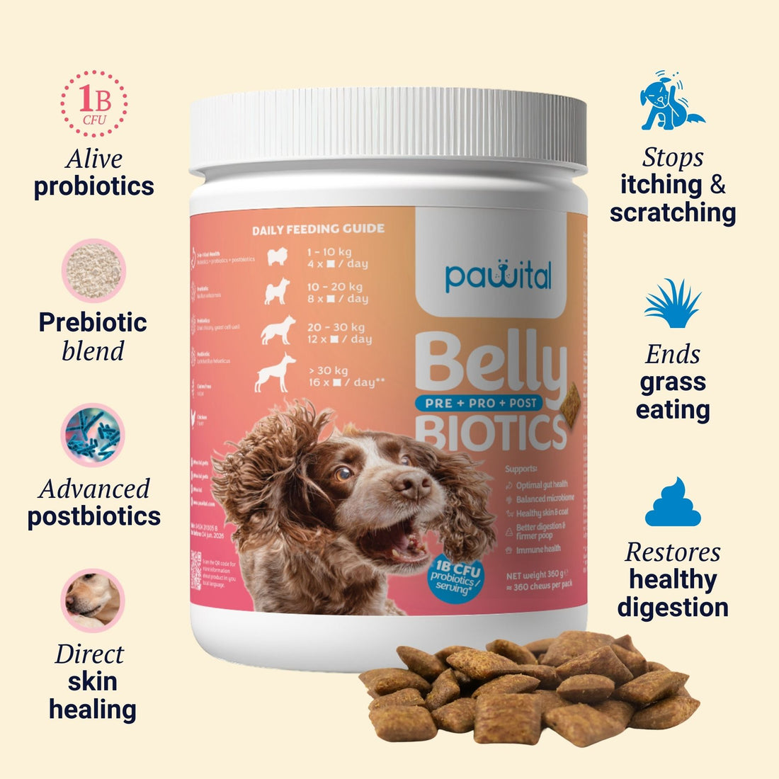Belly Biotics (lonček)