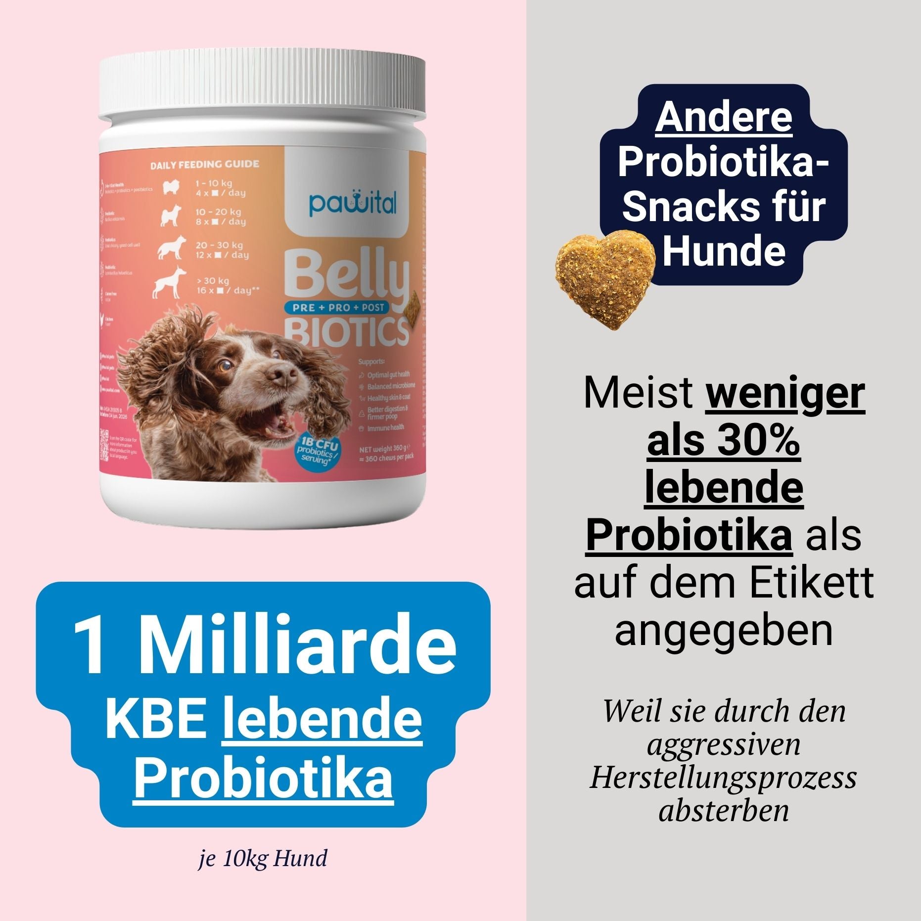 Belly Biotics (360 priboljškov)