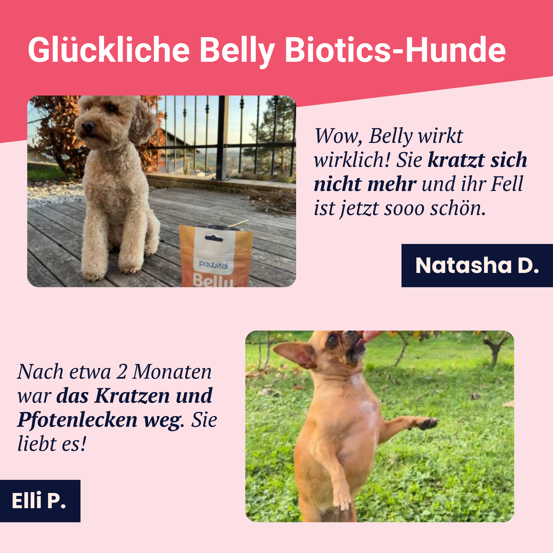 Belly Biotics (360 priboljškov)