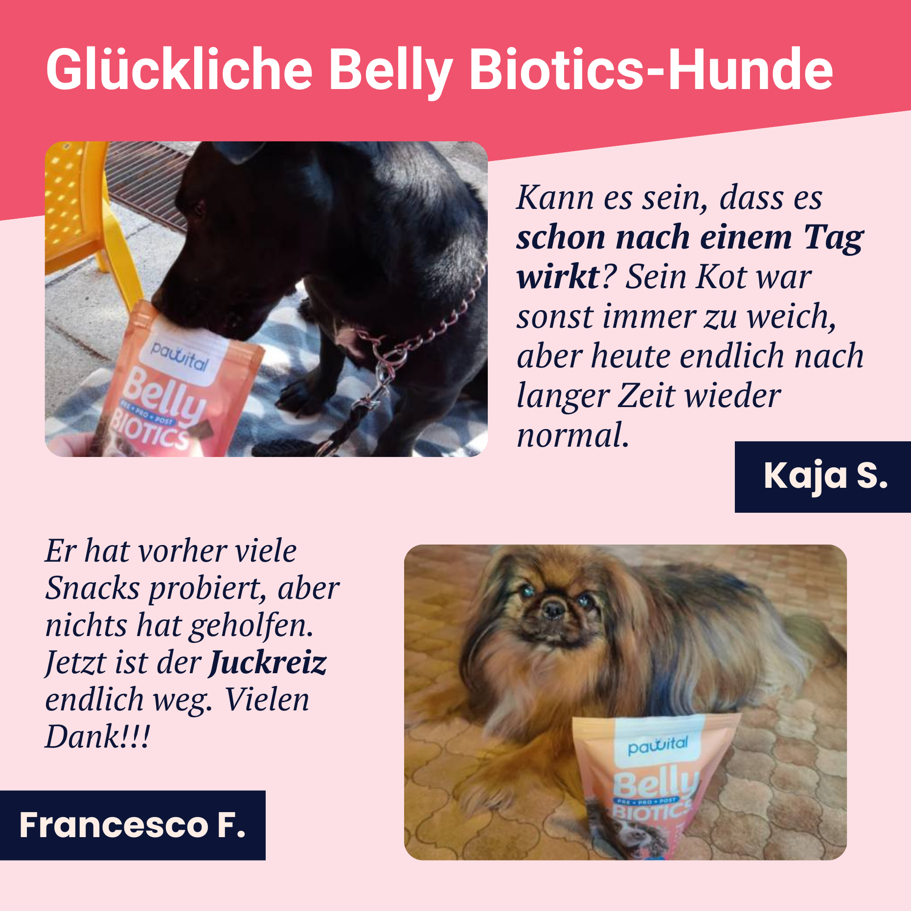 Belly Biotics (360 priboljškov)