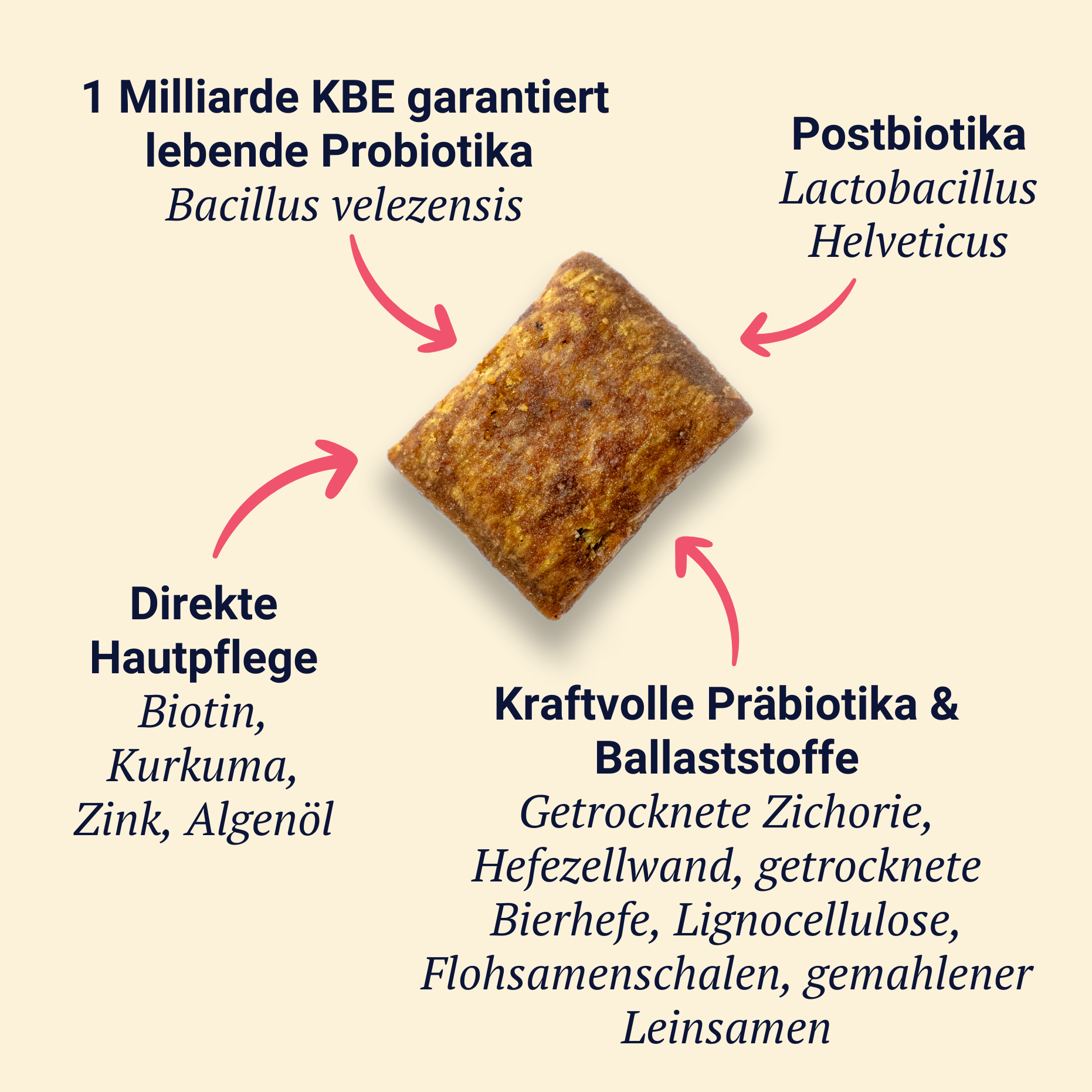 Belly Biotics (360 priboljškov)
