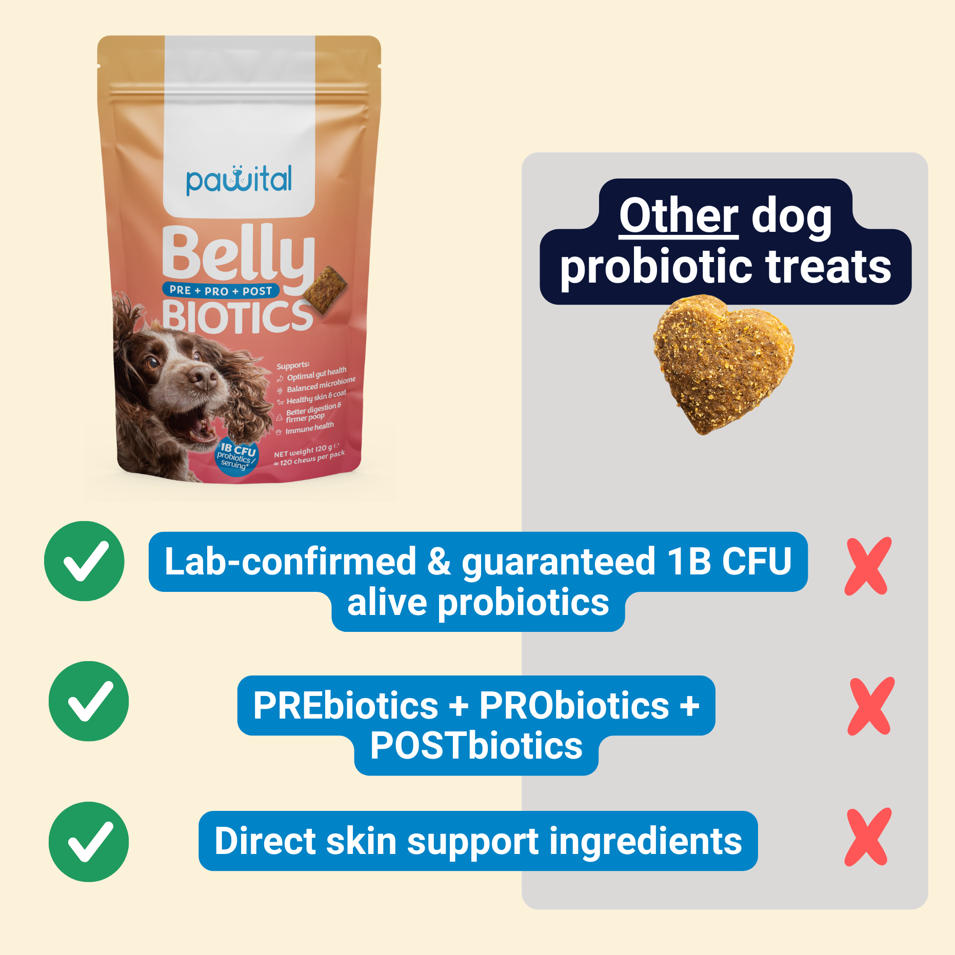 Belly Biotics Maintain