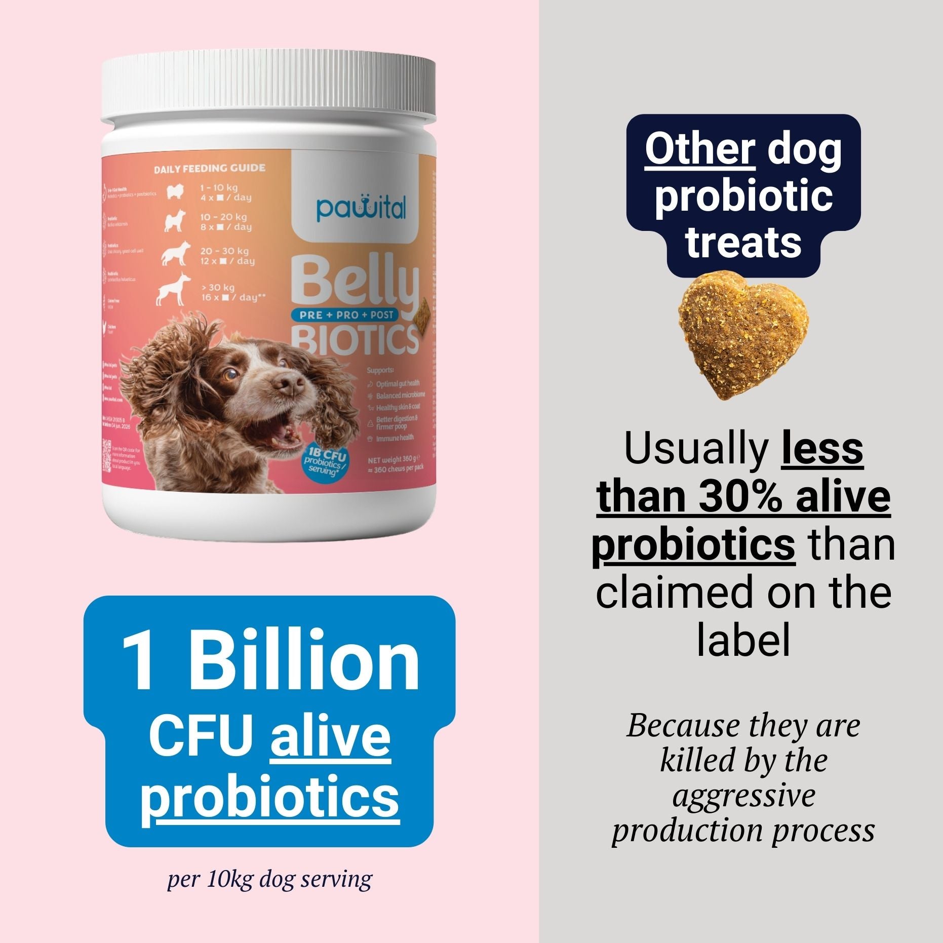 Belly Biotics (360 priboljškov)