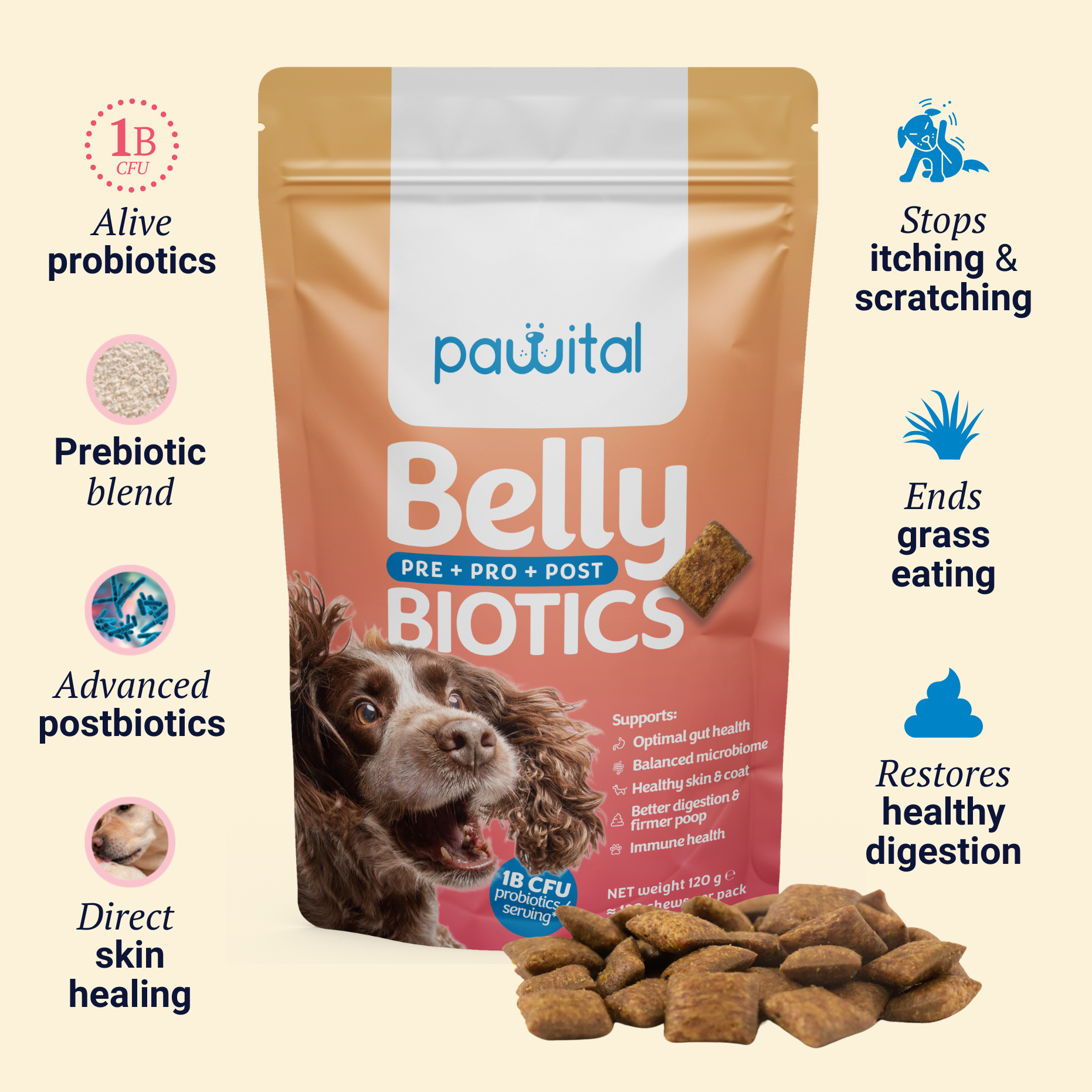 Belly Biotics €12,90 Refill + gutQR