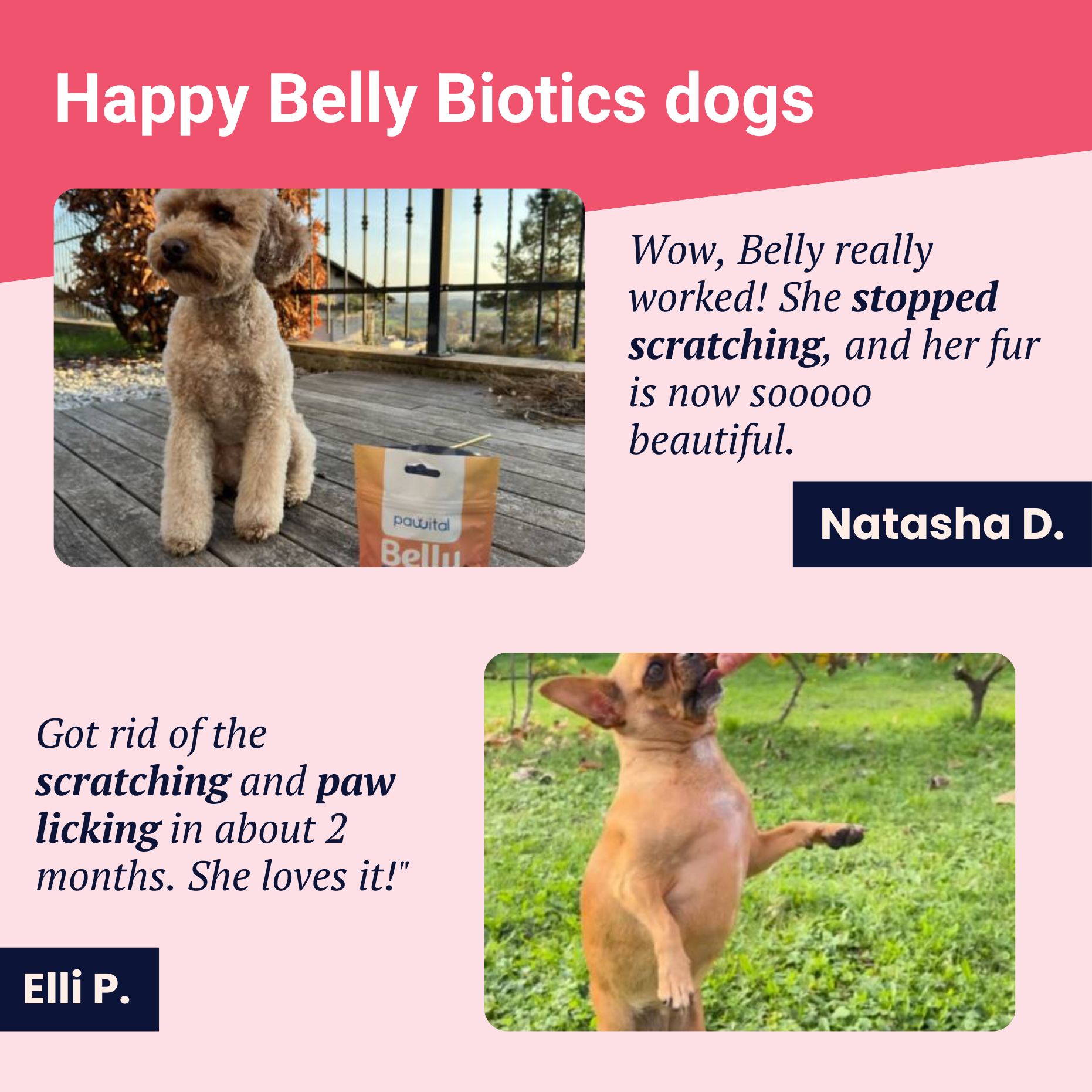 Belly Biotics (360 priboljškov)