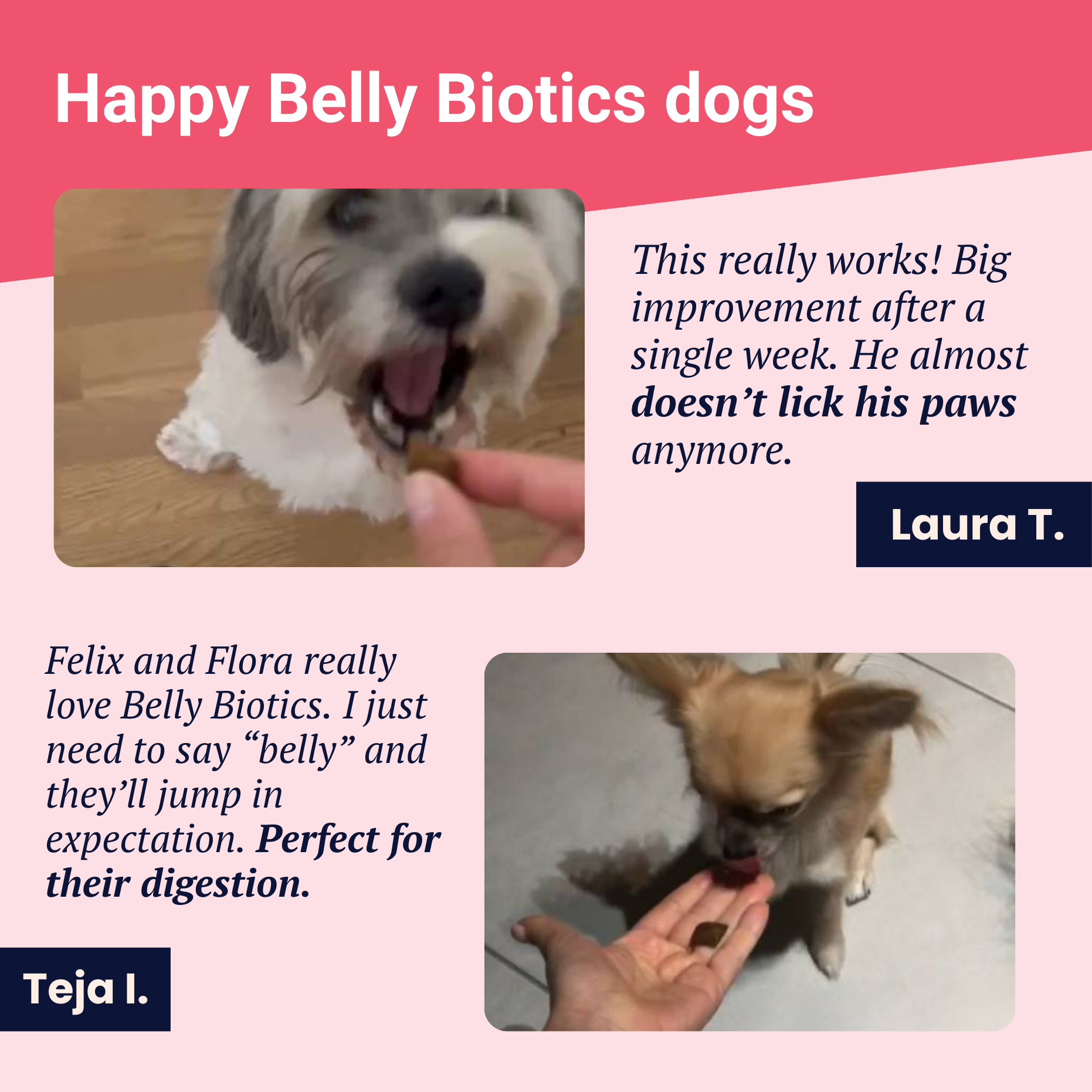 Belly Biotics (360 priboljškov)