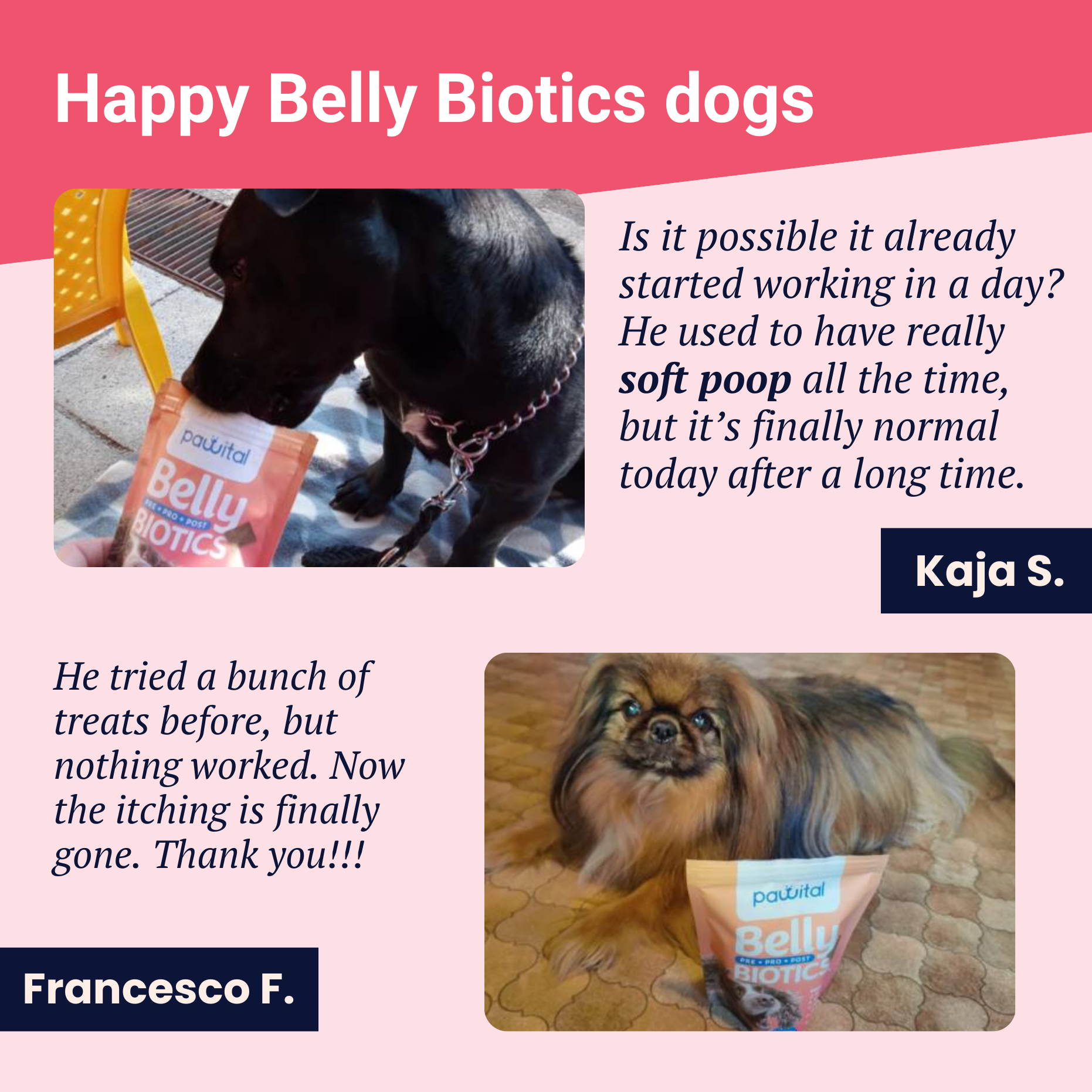 Belly Biotics (360 priboljškov)