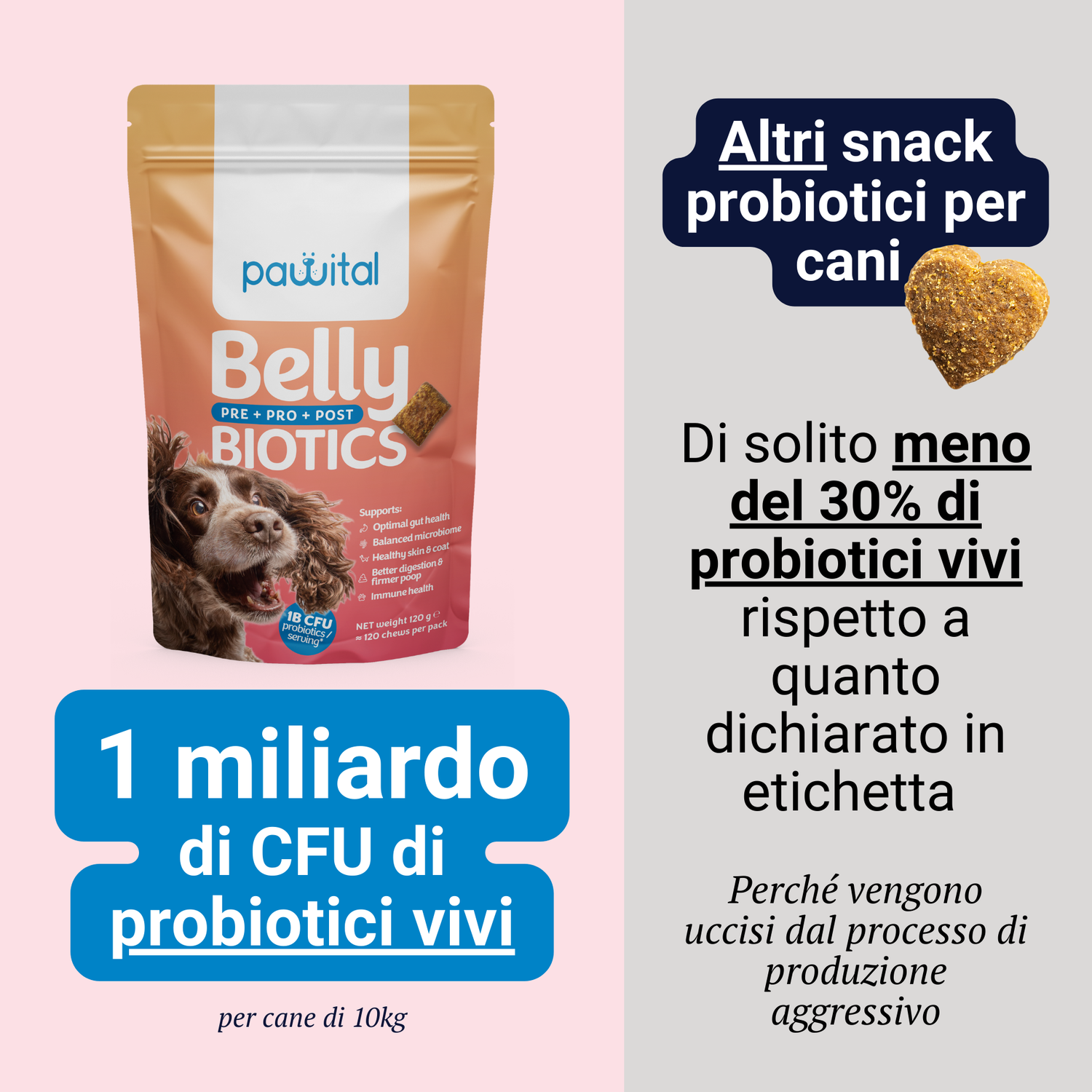 Belly Biotics €12,90 Refill + gutQR