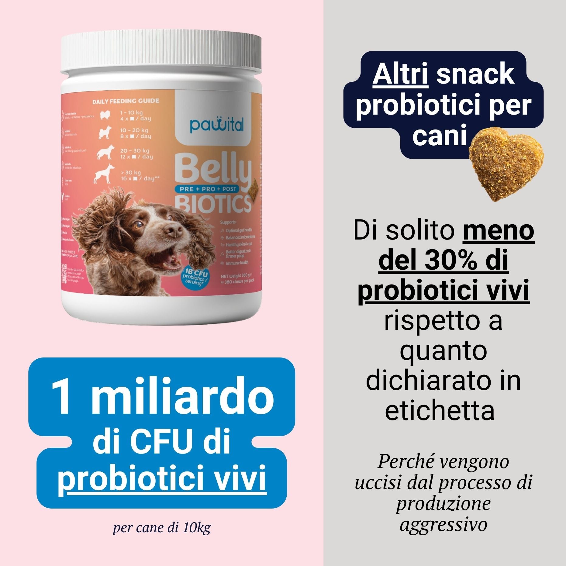 Belly Biotics (360 priboljškov)