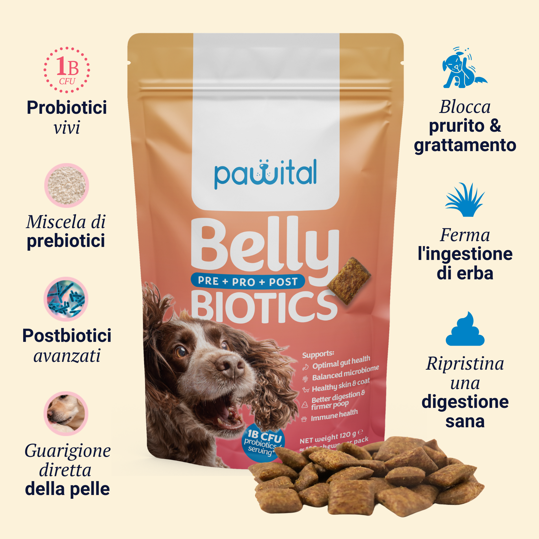 Belly Biotics €12,90