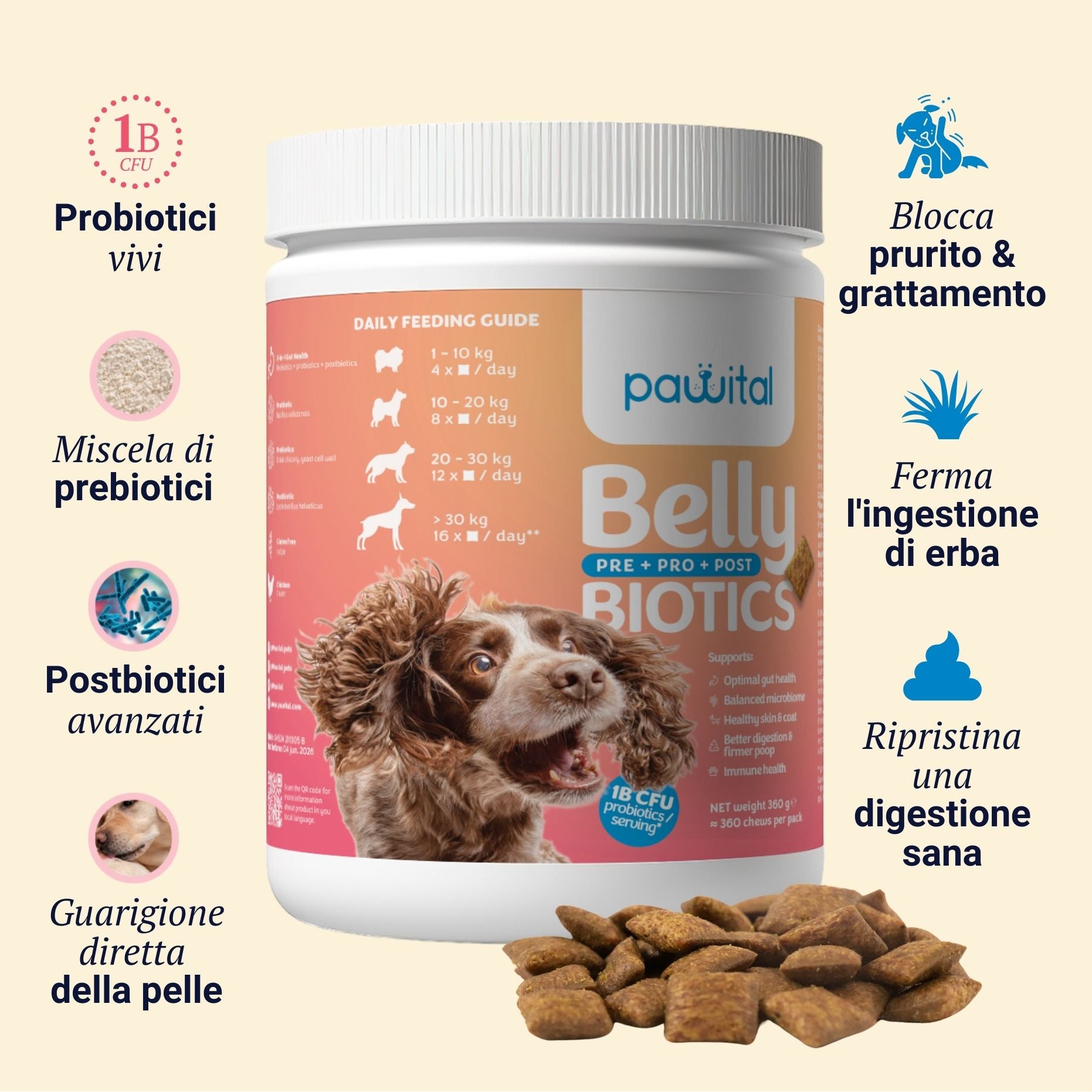 Belly Biotics (360 priboljškov)