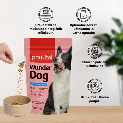 Wunder Dog -78%