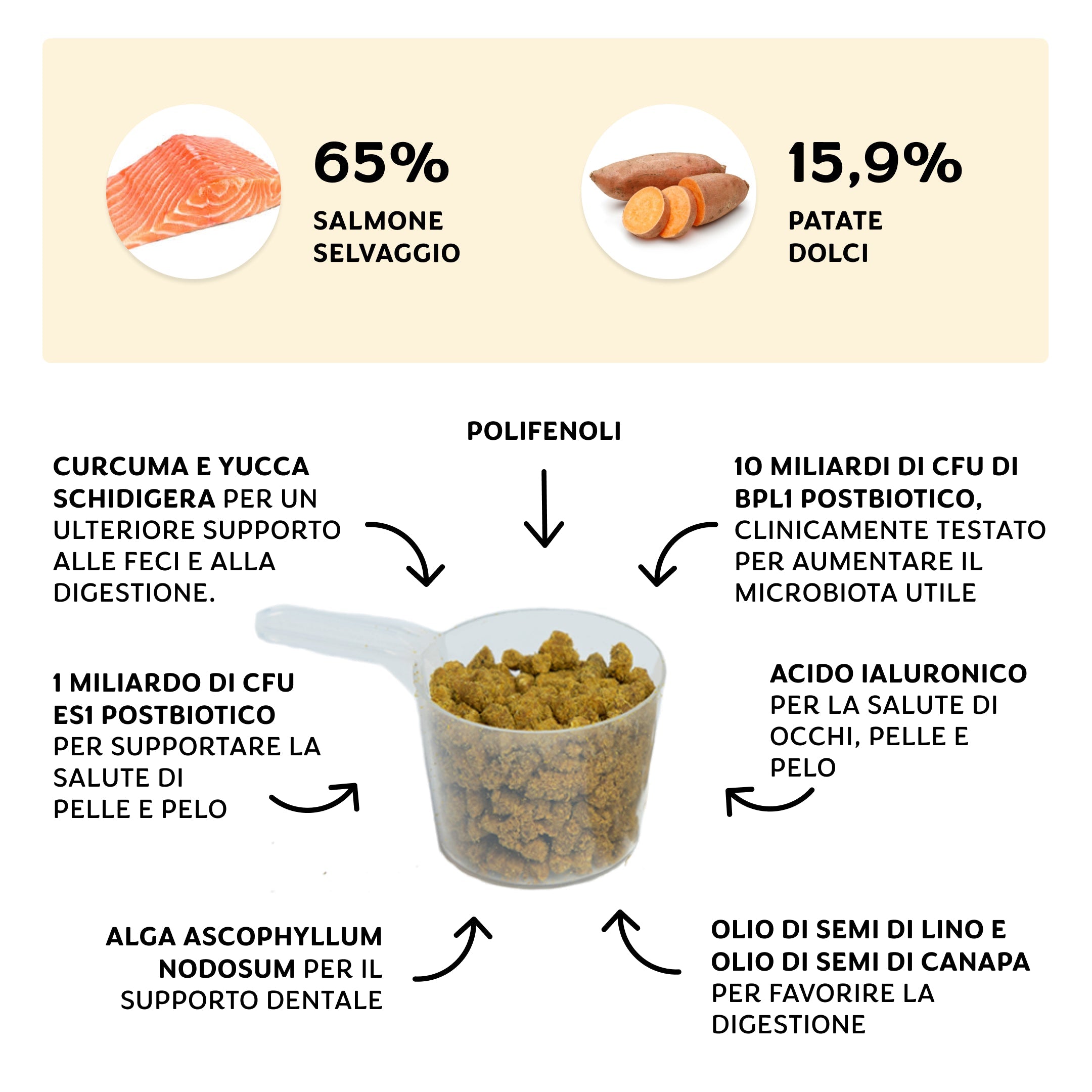 Wunder Dog -78%