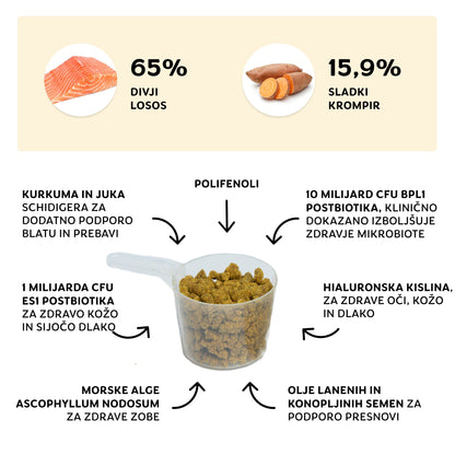 Wunder Dog -78%