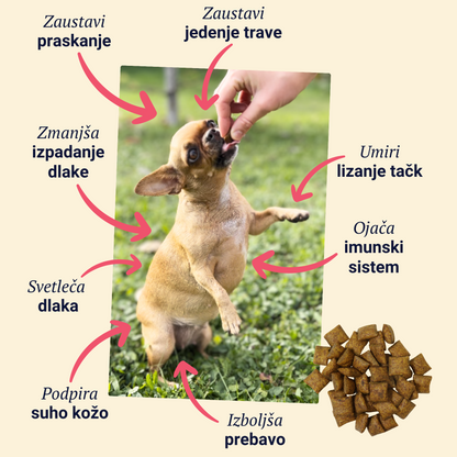 Belly Biotics (360 priboljškov)