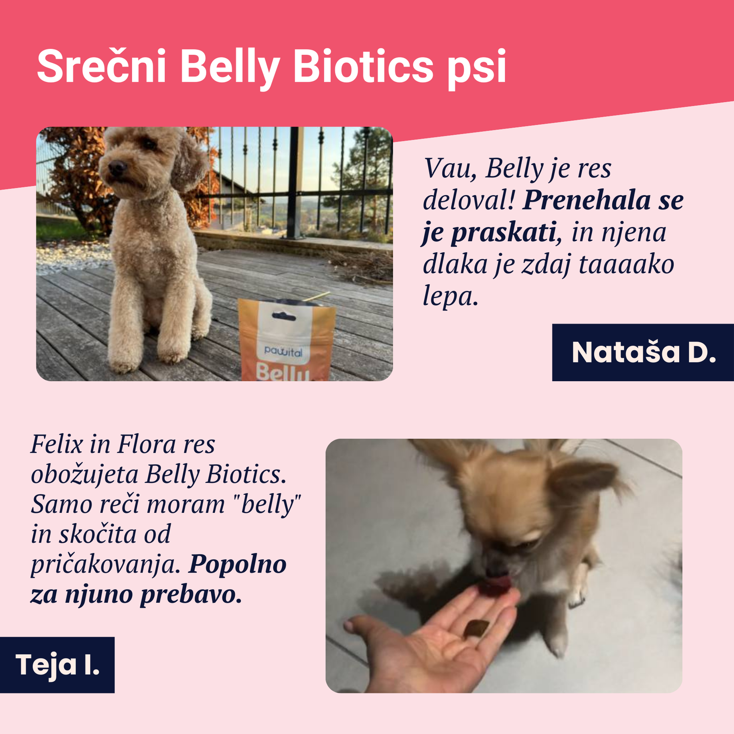 Belly Biotics (360 priboljškov)