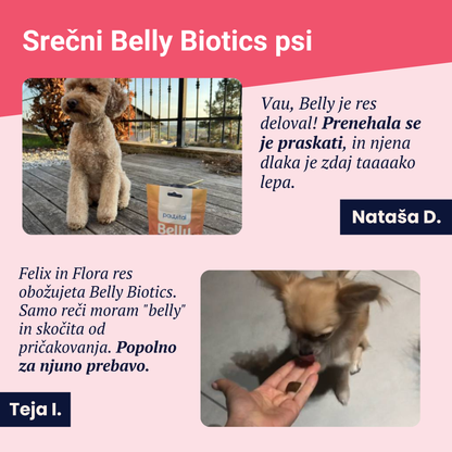 Belly Biotics (360 priboljškov)