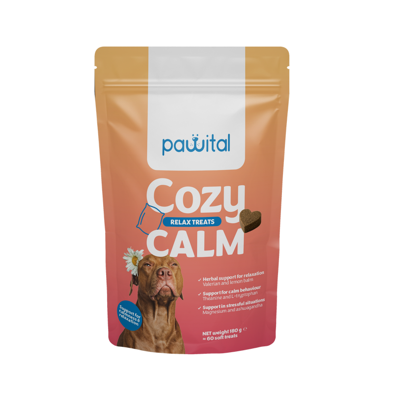 Cozy Calm 